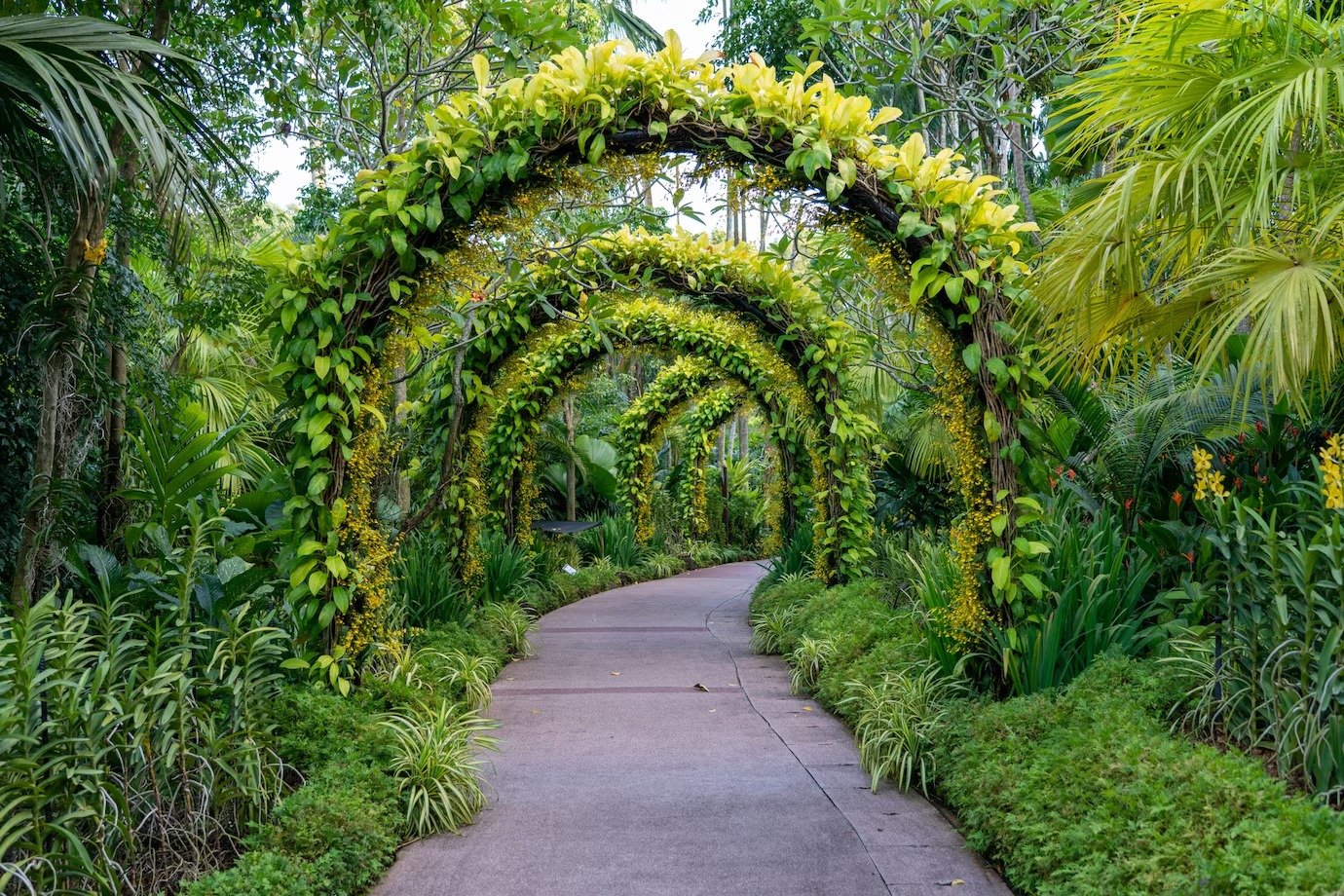 Horticulture & Landscaping Horticulture & Landscaping